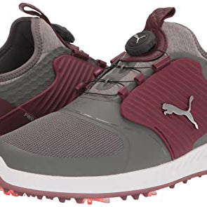 PUMA Ignite PWRADAPT Caged Golf Shoes - Men's Quiet Shade - puma Silver - zinfandel Shoe Deals Outlet