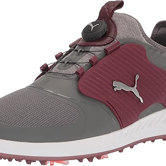 PUMA Ignite Pwradapt Quiet Shade Silver Zinfandel 9 M 194578948090 Shoe Deals Outlet