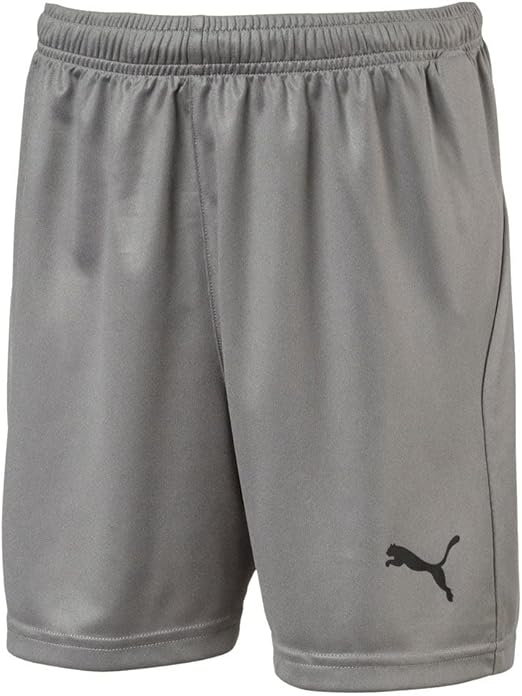 PUMA Liga Shorts Jr Gray Large 191239597284 Shoe Deals Outlet