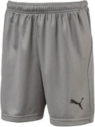 PUMA Liga Shorts Jr Gray Large 191239597284 Shoe Deals Outlet